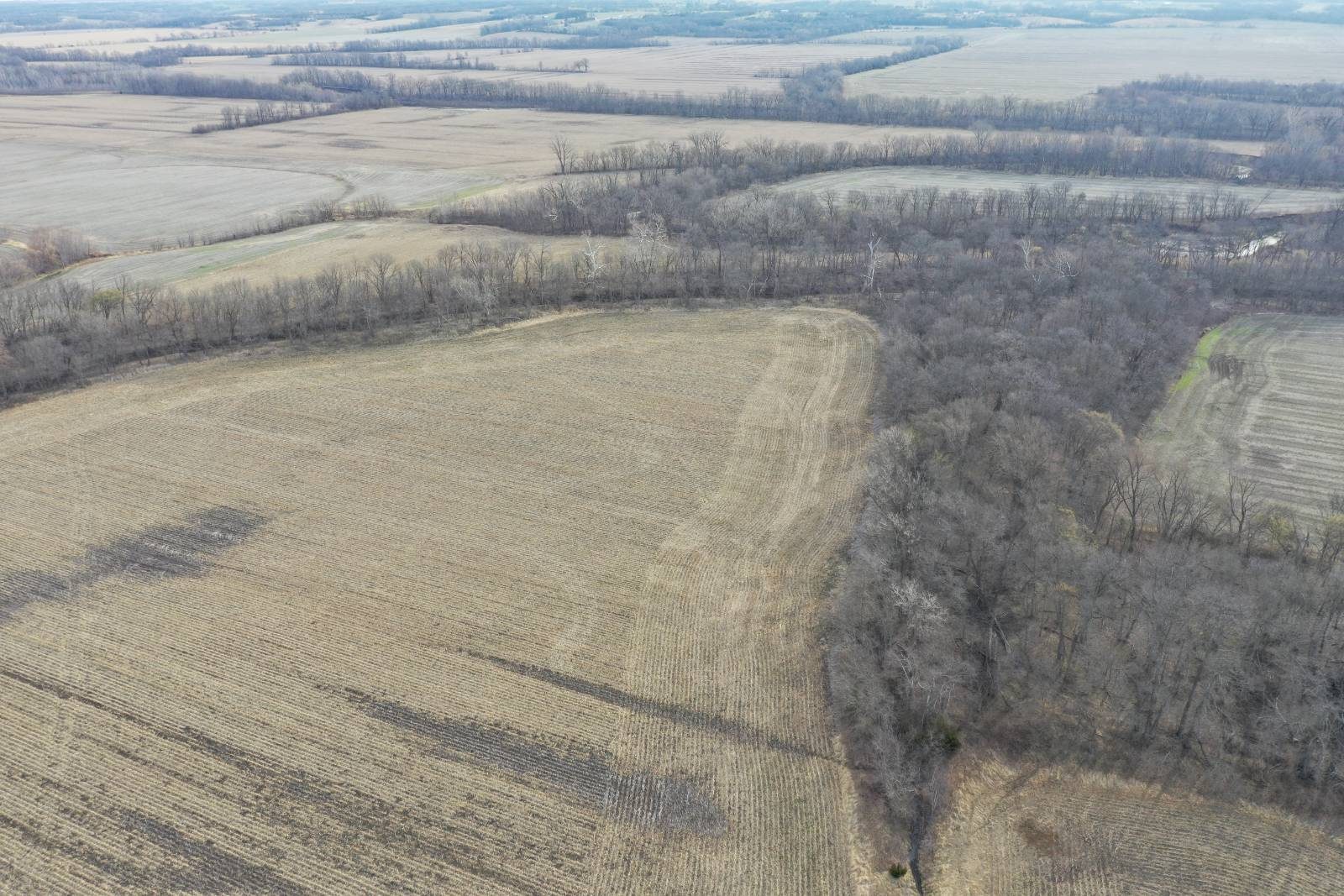 Aerial view of crop ground and timber in Grundy County, Missouri