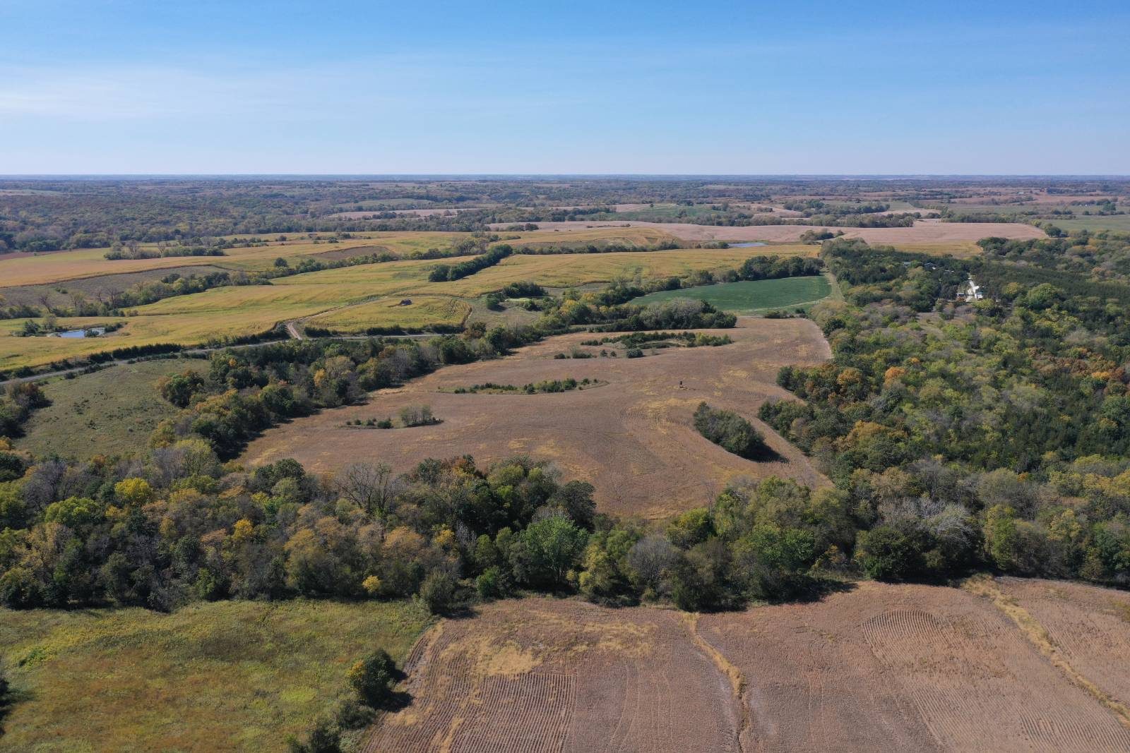 Aerial view of timber-heavy land in Mercer County, Missouri