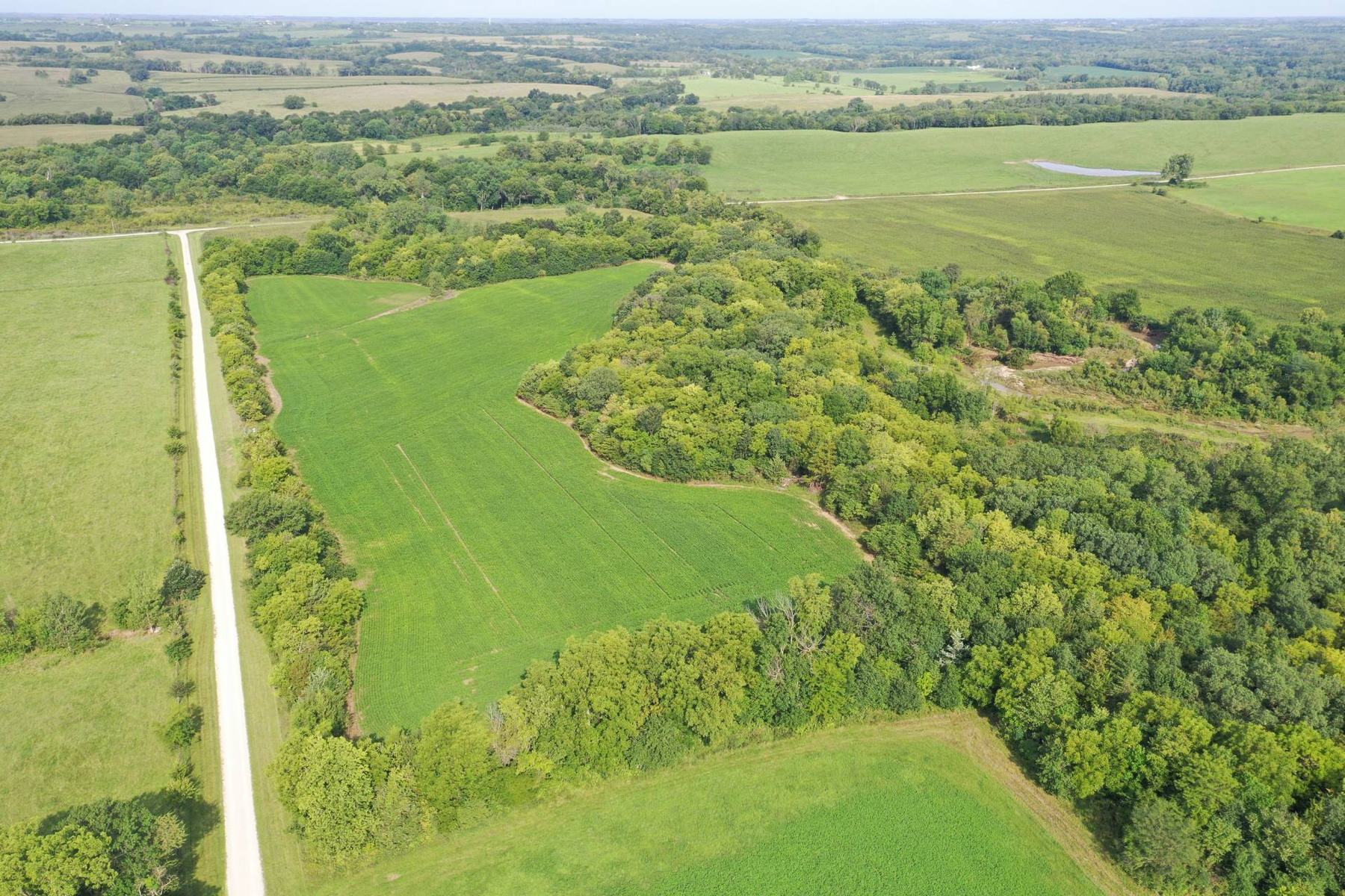 Aerial view of crop and timber ground in Worth County, Missouri